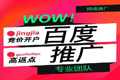 优化SEM广告投放：成功案例分享